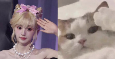 猫猫薇
