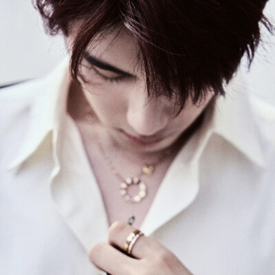 小狐
