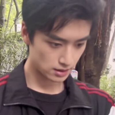 树哥