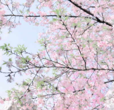 天气晴