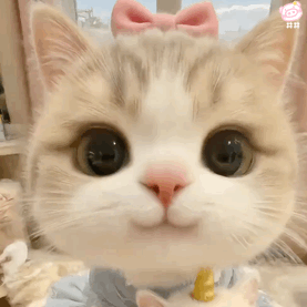 猫咪表情包动图
可爱的表情包
