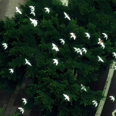 背景图