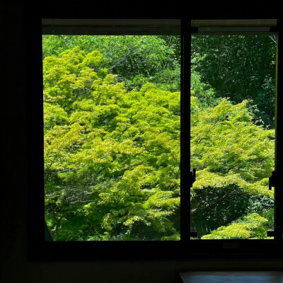 背景图