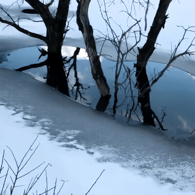 你能体谅我有雨天