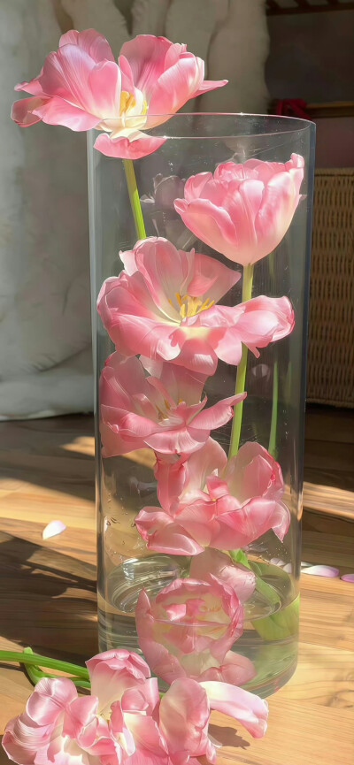 手机壁纸