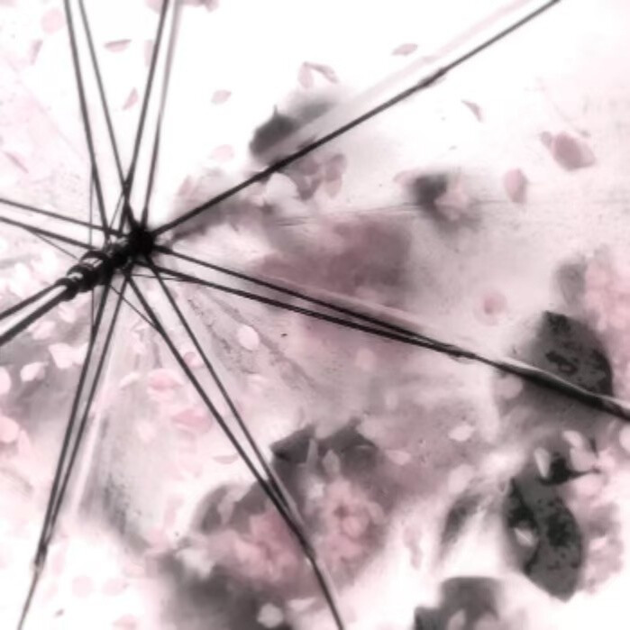 星眠旷野✩₊˚.⋆☾⋆⁺₊✧