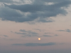 傍晚时分拍到的月亮！