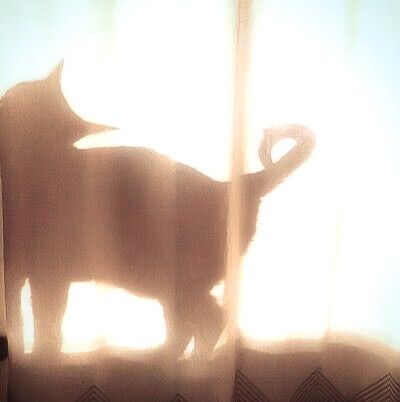 好萌好甜感觉要打胰岛素 毕竟我这种萌物可是手慢无啊٩(*´`*)۶