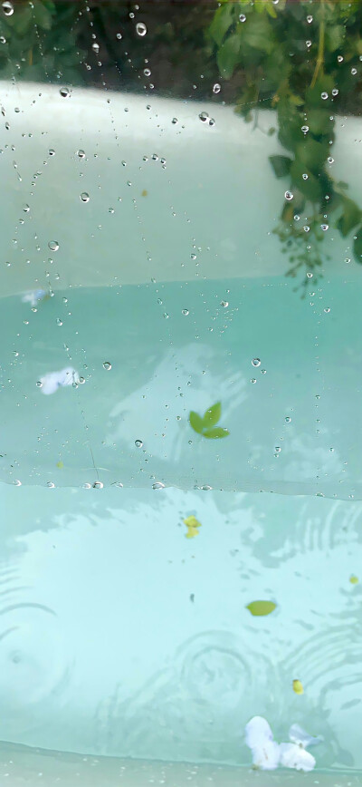 壁纸