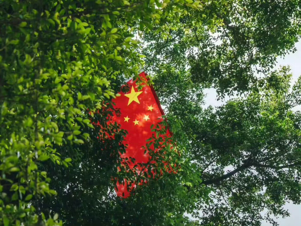 忆