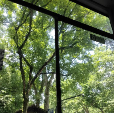 背景图