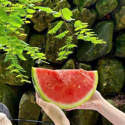 背景图