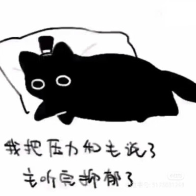 克猫猫表情包