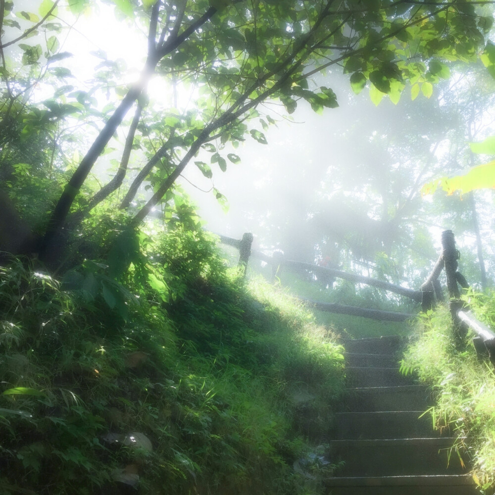 ：婧祎. # Kiku - 0.2s 키쿠 * きく