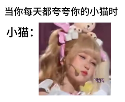 哈基米><