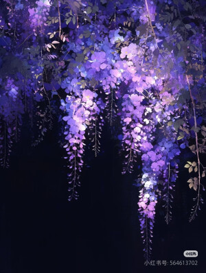 紫色边框 紫色花朵素材