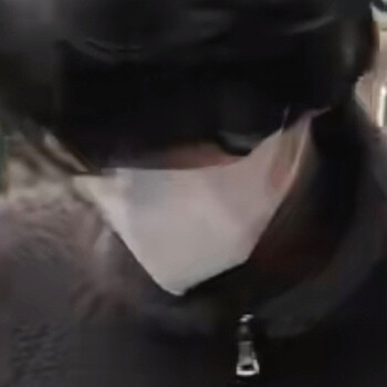 卷毛狗