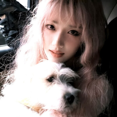 他是京城的名门贵族商家唯一继承人商爵
你是楚家里上不得台面的孩子楚辞，已经和安家大公子安逸在一起。