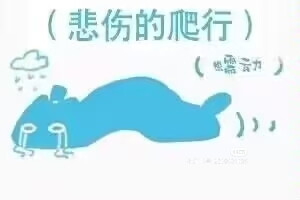 克猫猫表情包