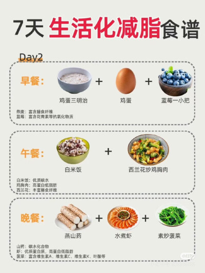 七天生活化减脂