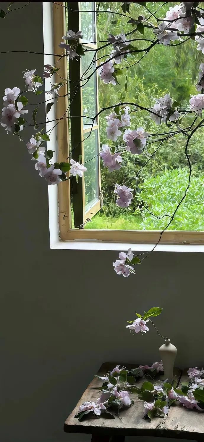 壁纸