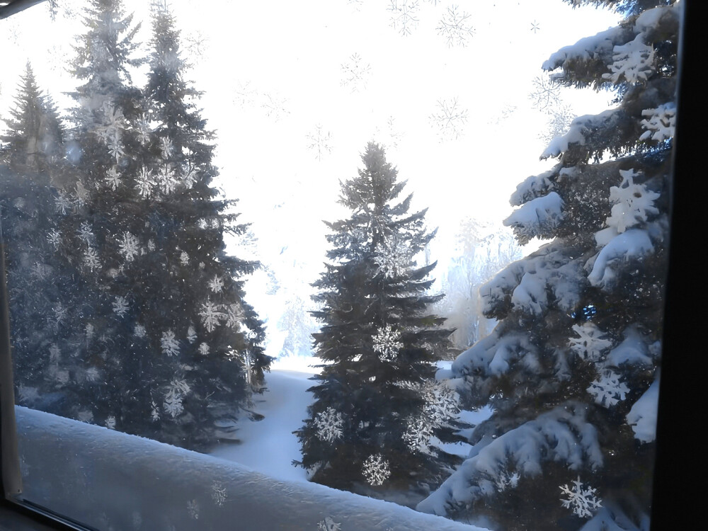 你好可以认识一下吗，我是猫。没发出去吗？
怎么不回我，是没有收到吗？
哈哈哈我说我是猫！！
小调皮，是激动地不知道说什么了吗
我是猫噢，真的猫噢
hello？听不懂中文吗？
i am a cat 这下知道了吧
