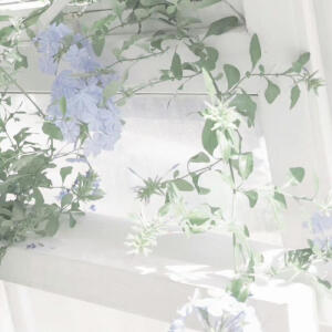 *水面掀起的漣漪是春的來信。