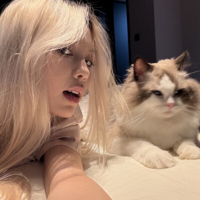 dt林宇婧