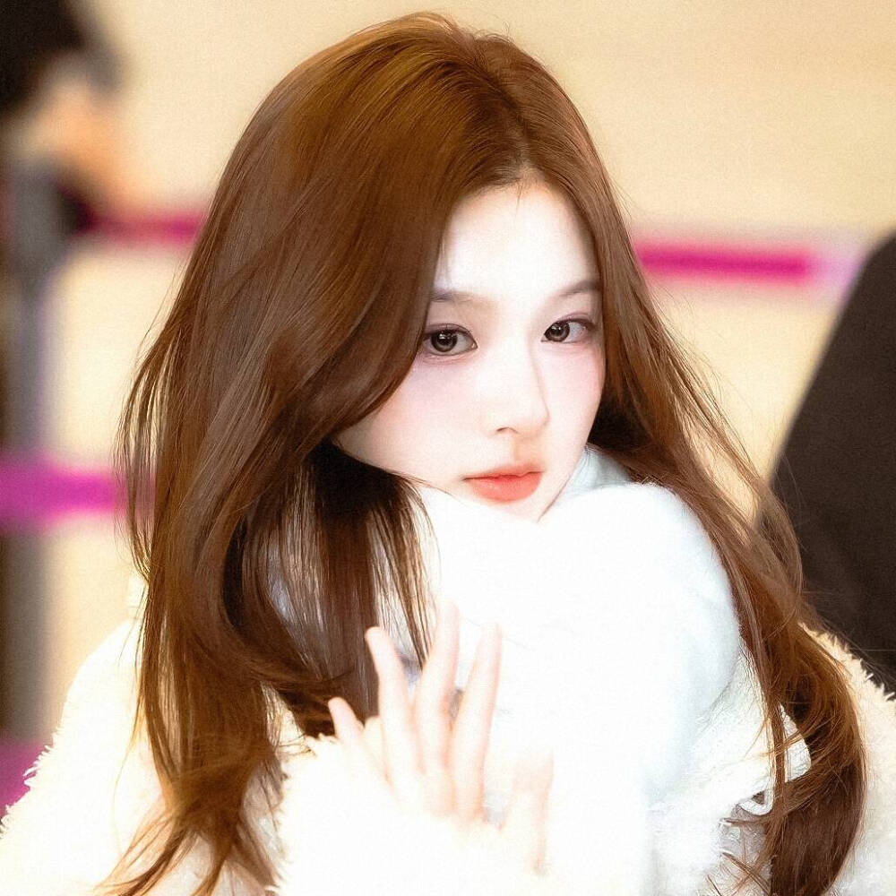 你的年轮里都是木质香的淤青