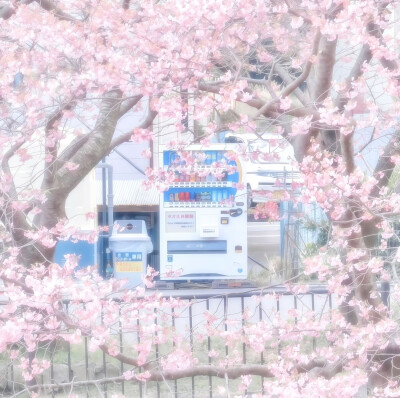 粉
