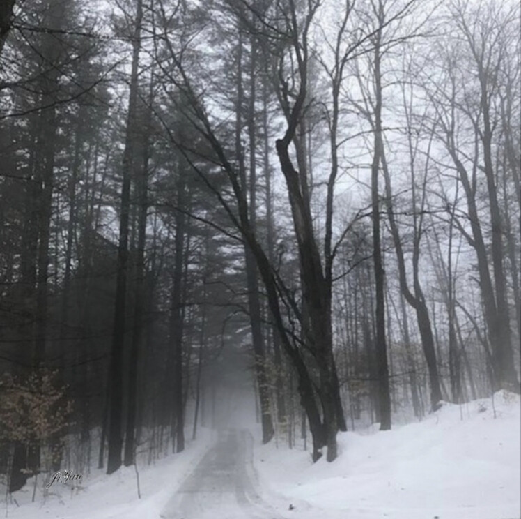 在我面前你不许夸别人漂亮ᐡ•͈ ·̭ •͈ᐡ