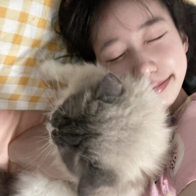 dt林宇婧