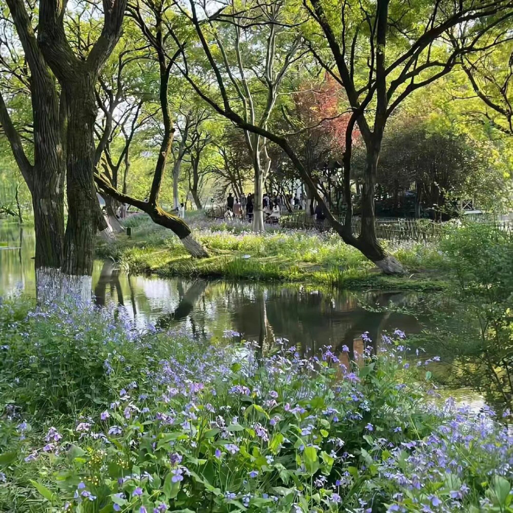 背景图｜风景背景图 朋友圈背景图 风景 鲜花 蝴蝶 云朵 ins