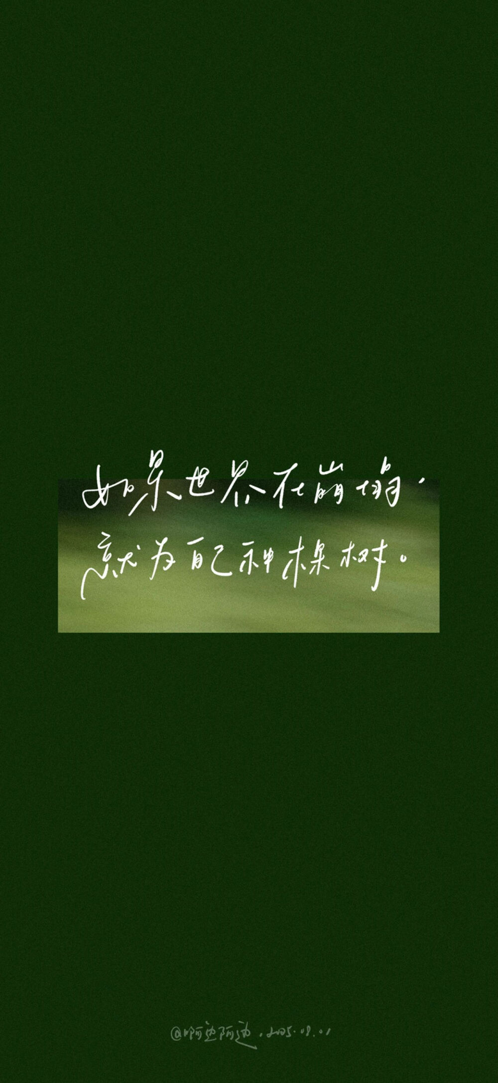 壁纸