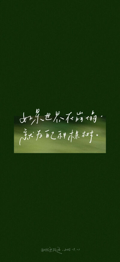 壁纸