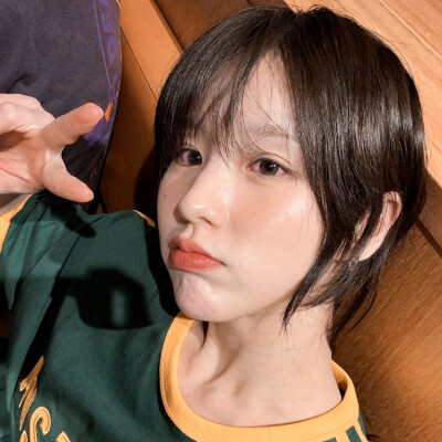 田姬振