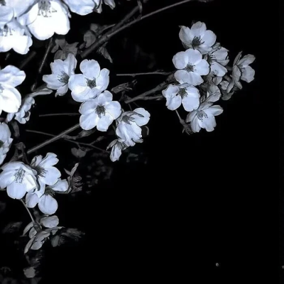 
''往事流转 在你眼眸·(The daylight’S)''