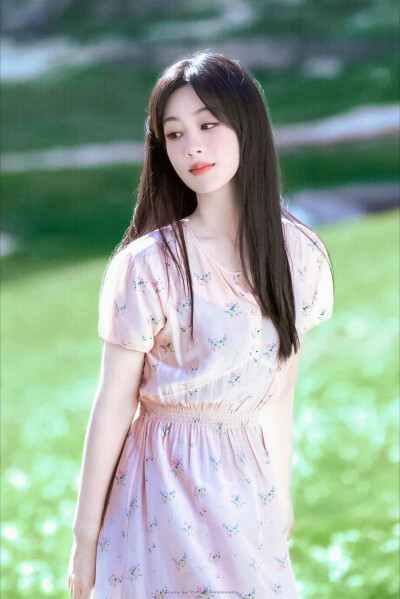 杨紫