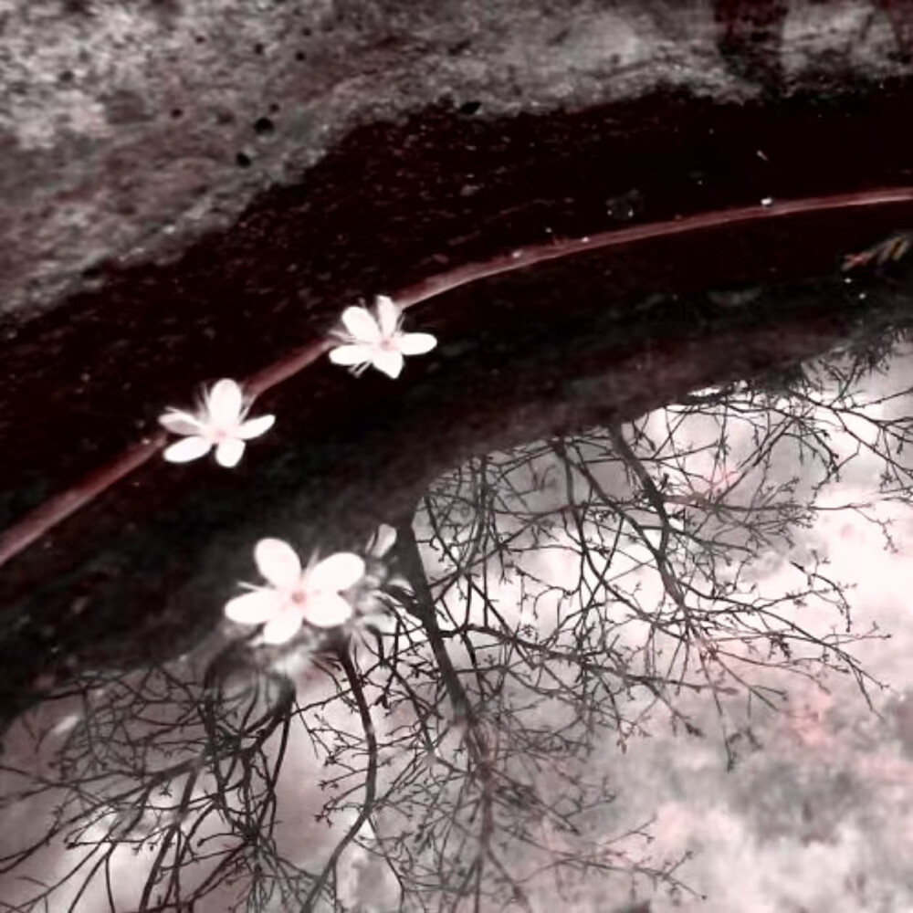 埜鸢老师小弟膜拜膜拜你！