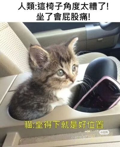 我是不会放弃收集这种图片的