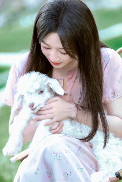 杨紫