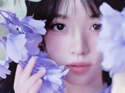 薰衣草