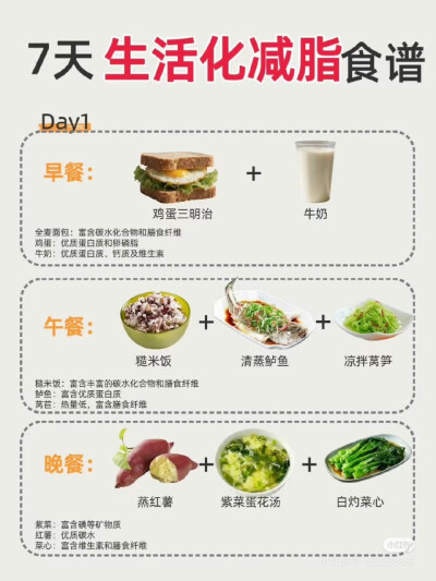 七天生活化减脂