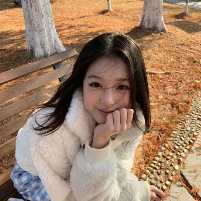 dt林宇婧