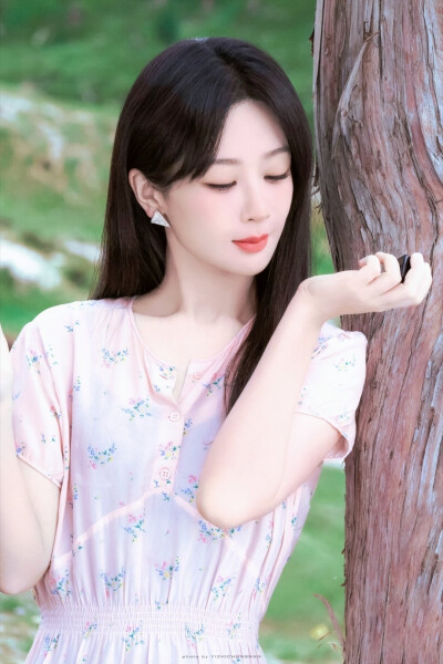 杨紫
