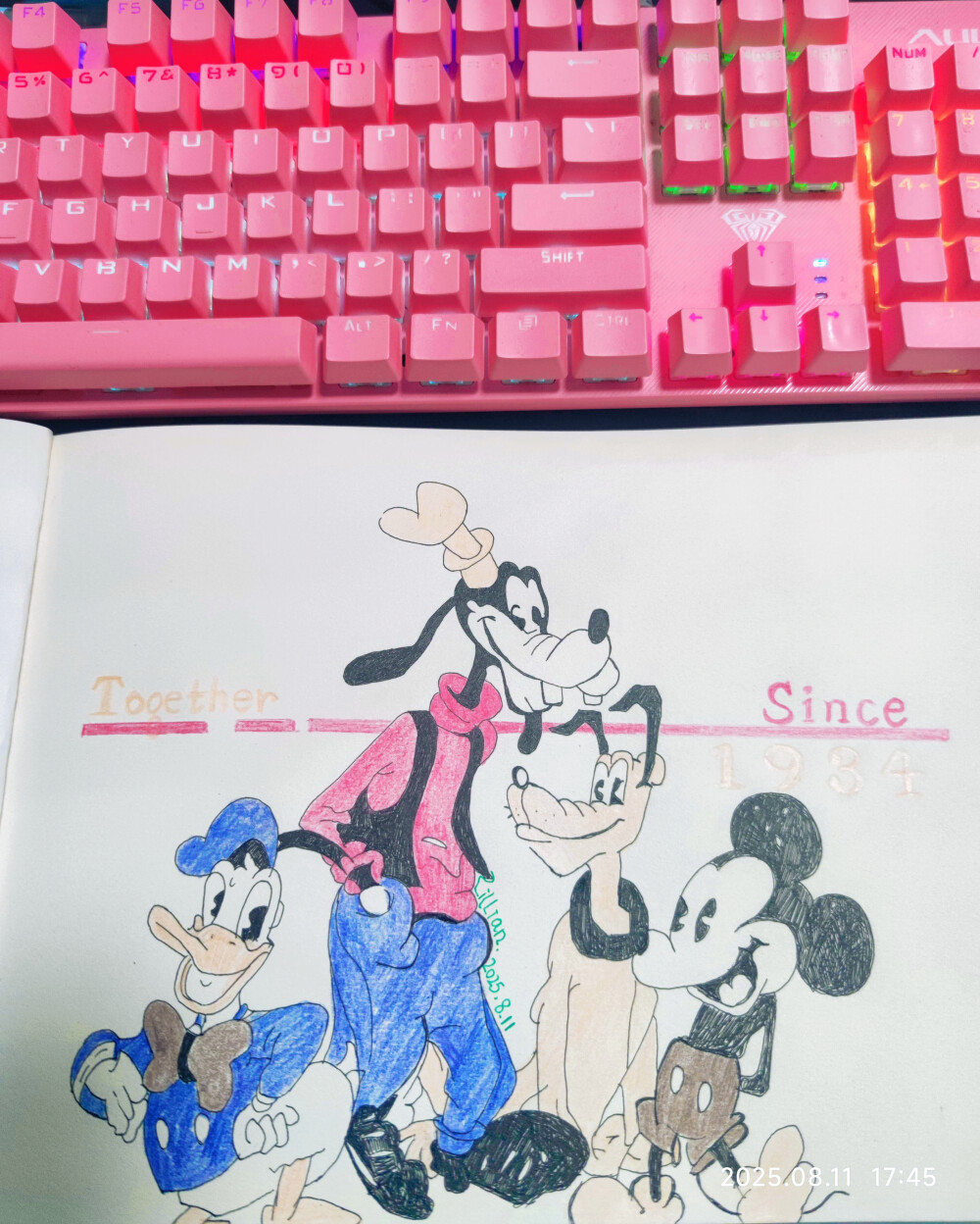 唐老鸭和米老鼠 高飞和布鲁托