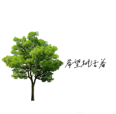 华晨宇
