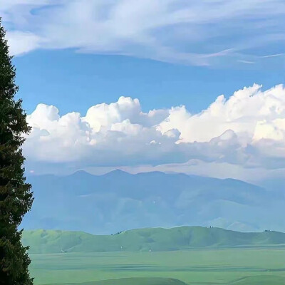 背景图｜风景背景图 朋友圈背景图 风景 鲜花 蝴蝶 云朵 ins