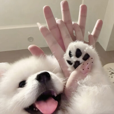 情头