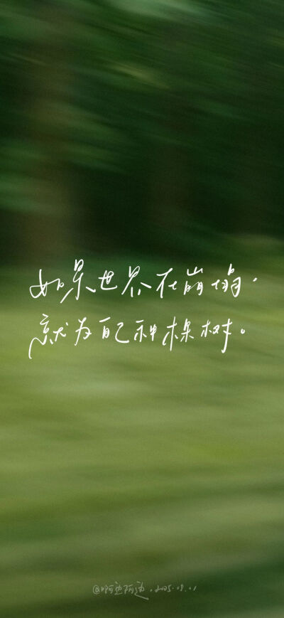 壁纸